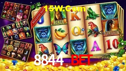 8844 Bet Rio de Janeiro - Slot Strategy
