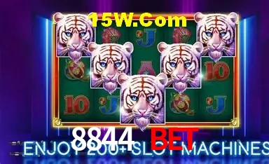 8844 Bet São Paulo - Jogo Providers